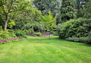 Optimiser l'expérience du jardin à Albignac